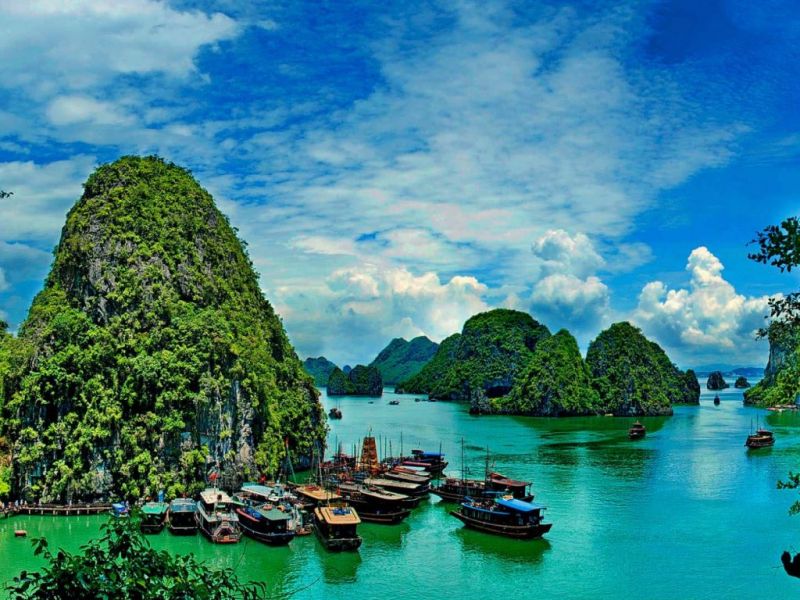 Hạ Long Biển Nhớ