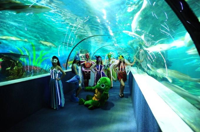 Vinpearl Aquarium Times City