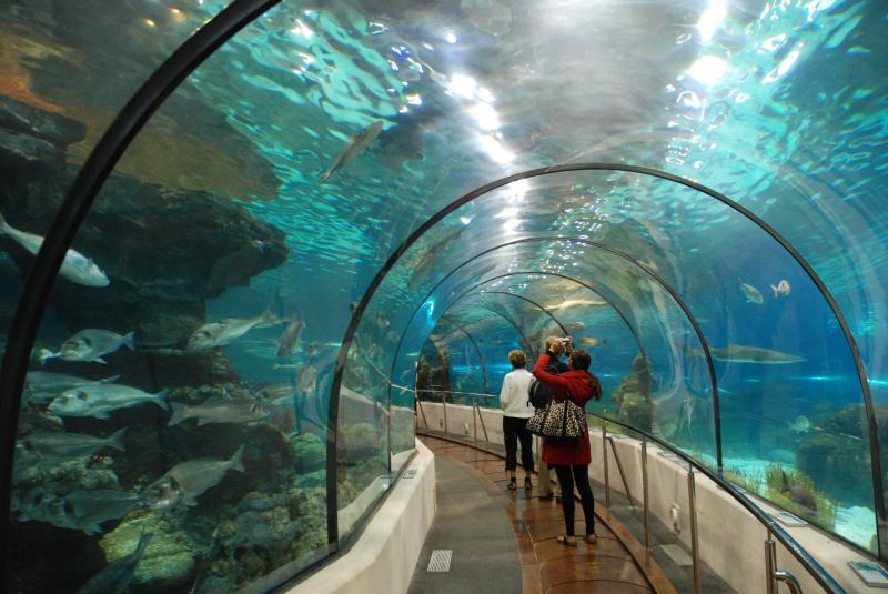 Vinpearl Aquarium Times City