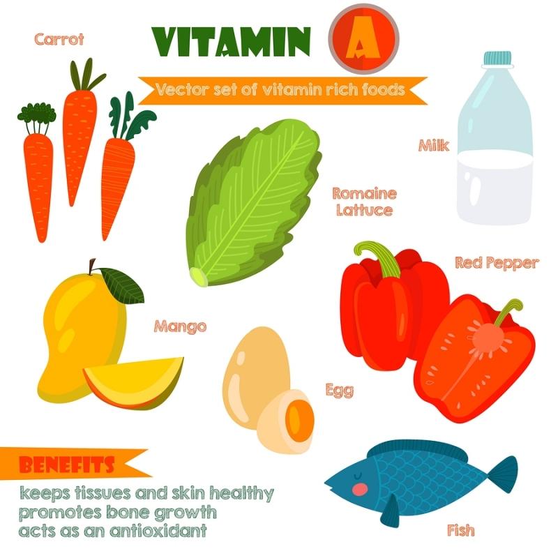 Thực phẩm giàu vitamin A