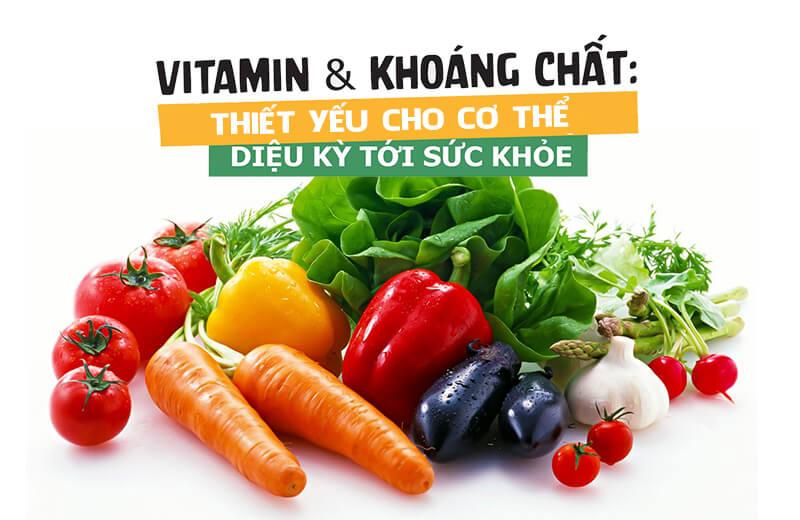 Vitamin và khoáng chất