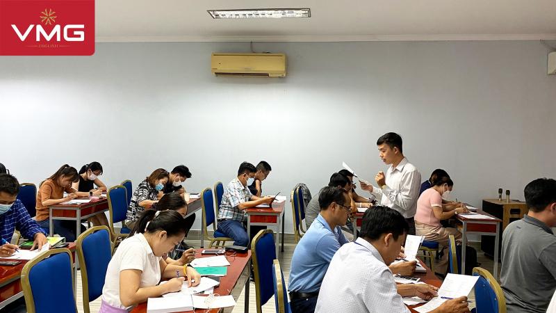 VMG - Viet My Group