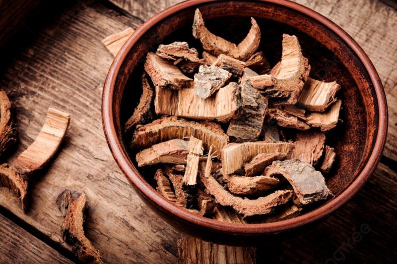 Vỏ cây sồi