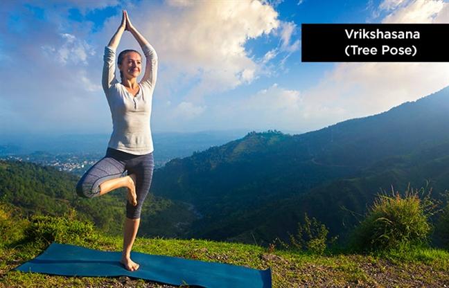 Vrikshasana – Tree Pose (tư thế cái cây)