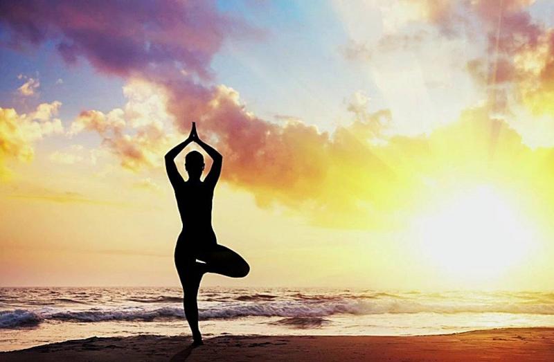 Vrikshasana – Tree Pose (tư thế cái cây)