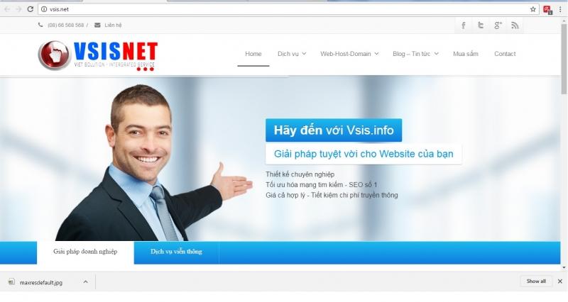 Vsis.net