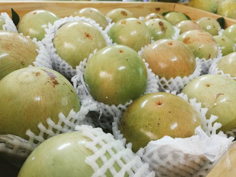 Vú sữa Lò Rèn Vĩnh Kim