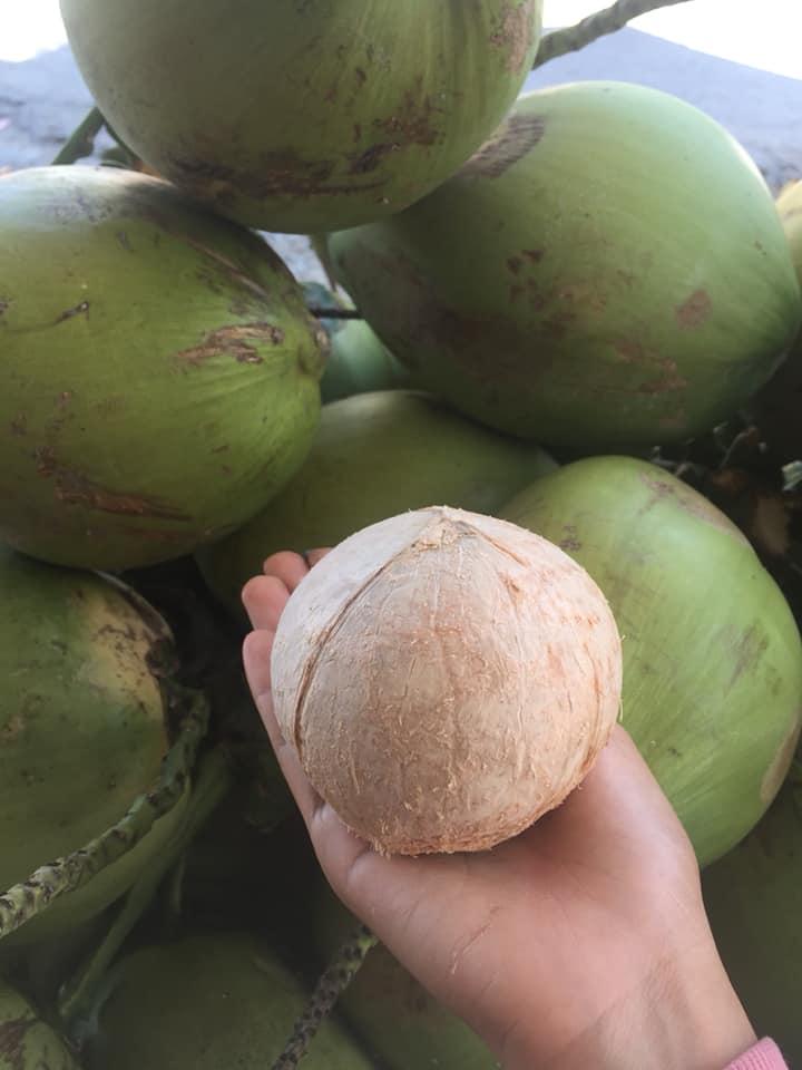 Vựa Dừa Kim Thủ