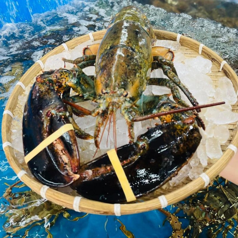 Vựa hải sản Gia Hưng