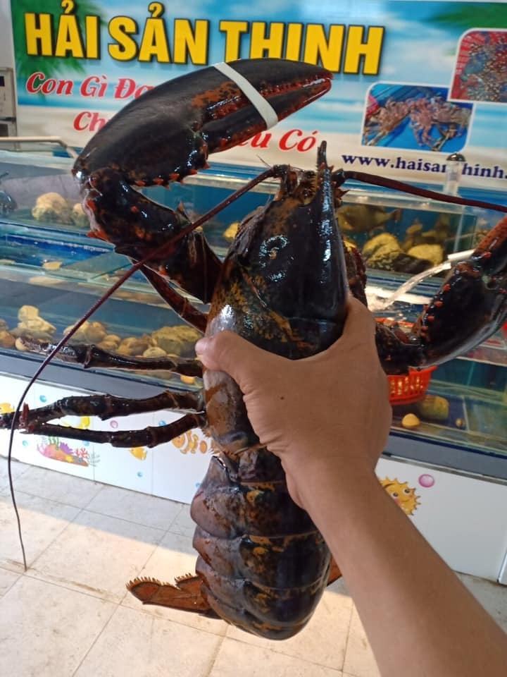 Vựa hải sản Thịnh
