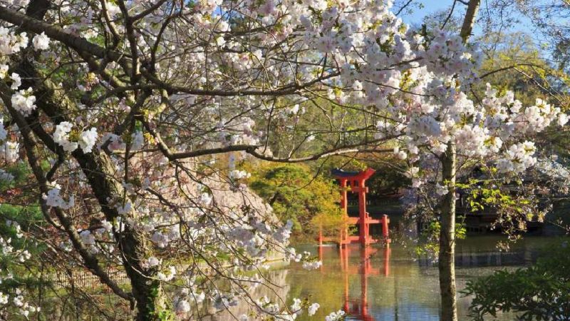 Vườn bách thảo Brooklyn
