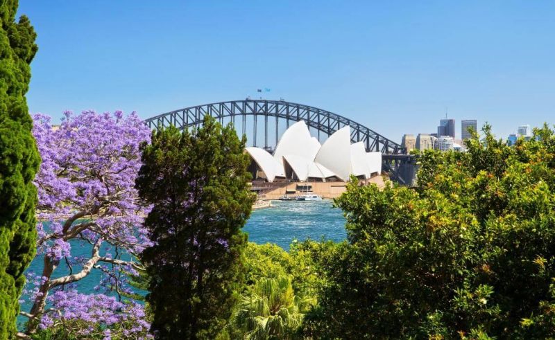 Vườn bách thảo hoàng gia Sydney, Úc