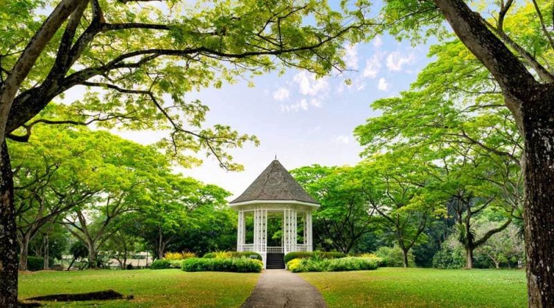 Vườn bách thảo Singapore