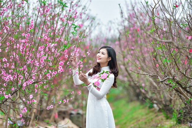 Vườn Đào Nhật Tân