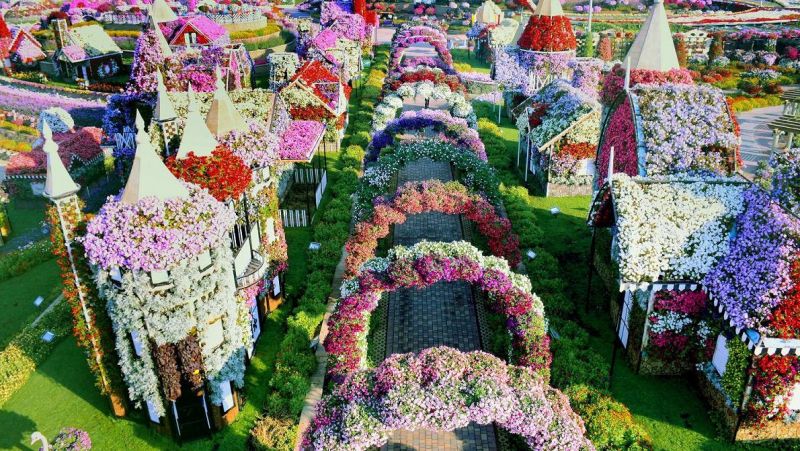 Có ít nhất 45 màu sắc tự nhiên được tìm thấy trong vườn Dubai Miracle Garden.