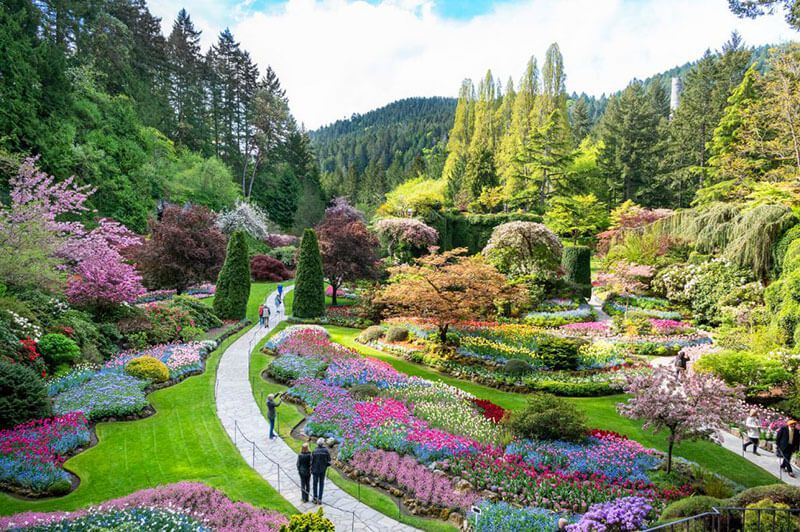Vườn hoa Butchart, Canada