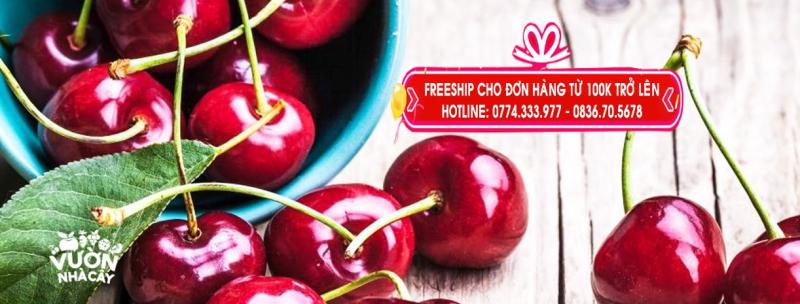 Vườn nhà cây