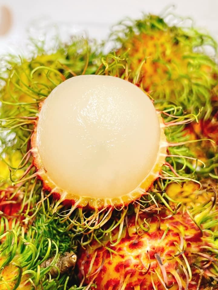 Vườn nhà cây