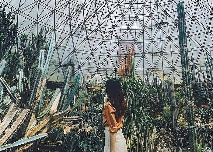 Vườn quốc gia Ba Vì – Hà Nội