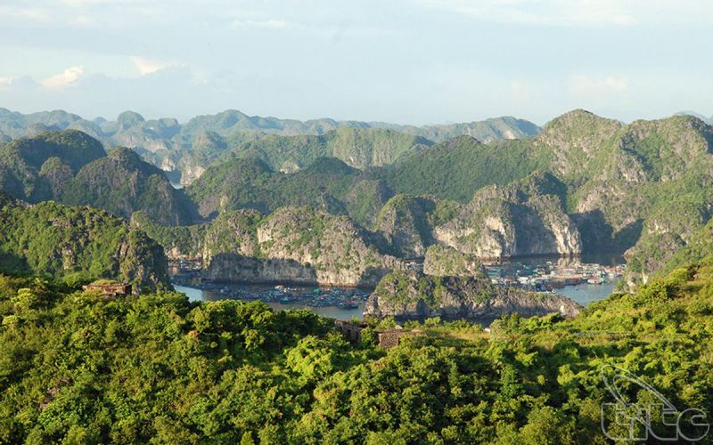 Vườn quốc gia Cát Bà