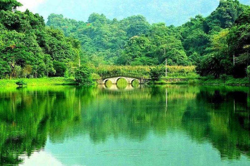 Vườn Quốc gia Cúc Phương