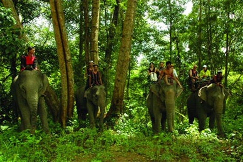 Cưỡi voi thăm thú vườn quốc gia Yok Đôn