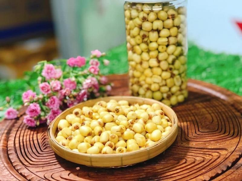 Vườn thuốc quý