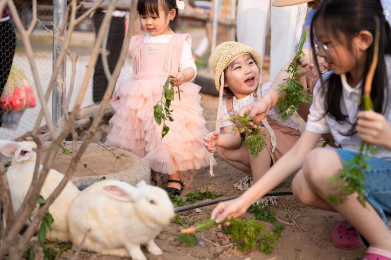 Vườn trải nghiệm Komifarm Cafe & Camping