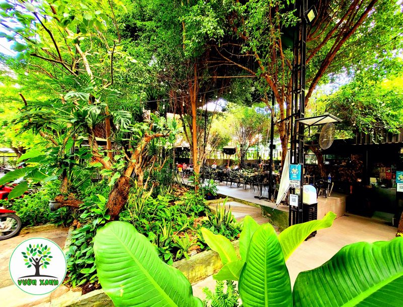 Vườn Xanh Coffee