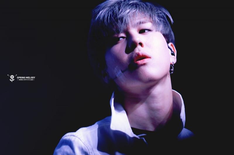Vương Gia Nhĩ