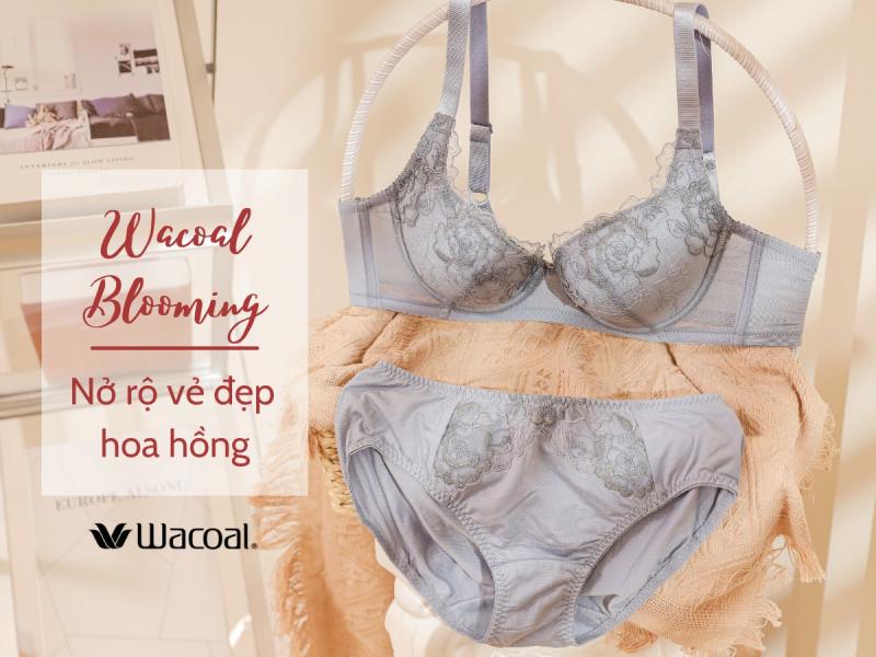 Sản phẩm của Wacoal