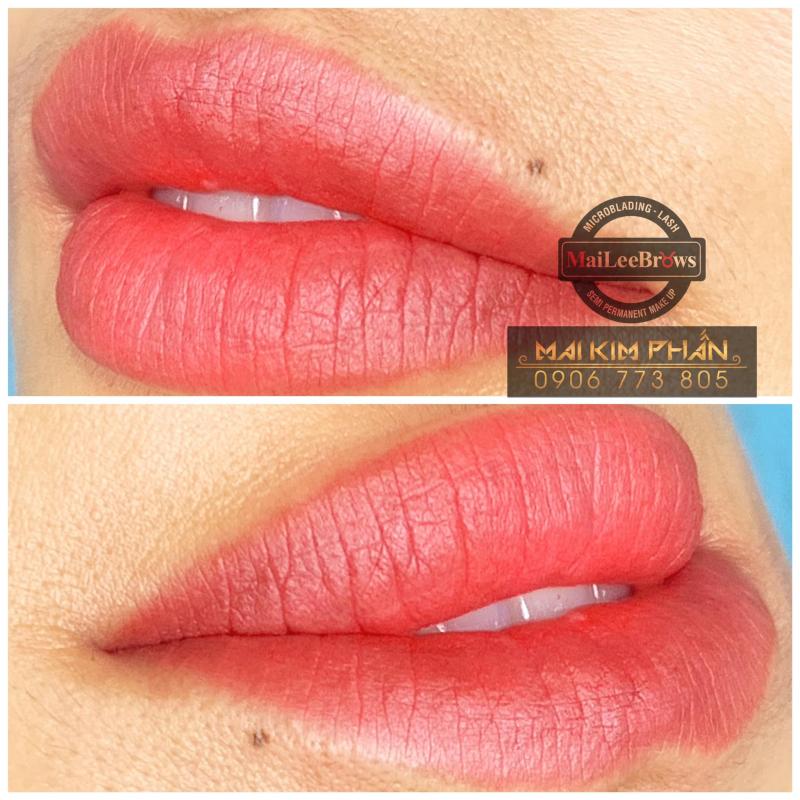 Xăm Phun Maileebrows Vũng Tàu (Mai Kim Phấn)
