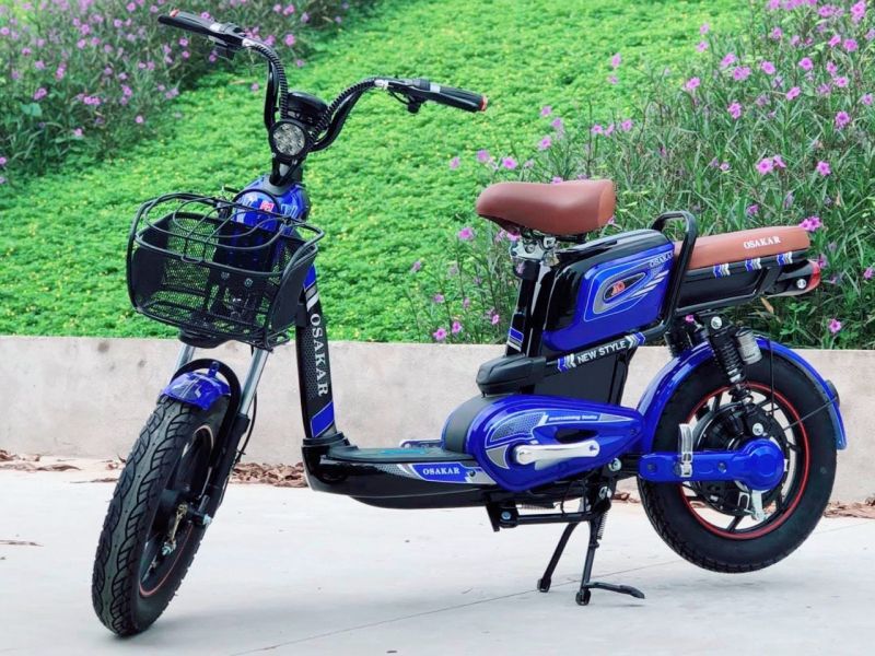 Xe đạp điện Osakar A10