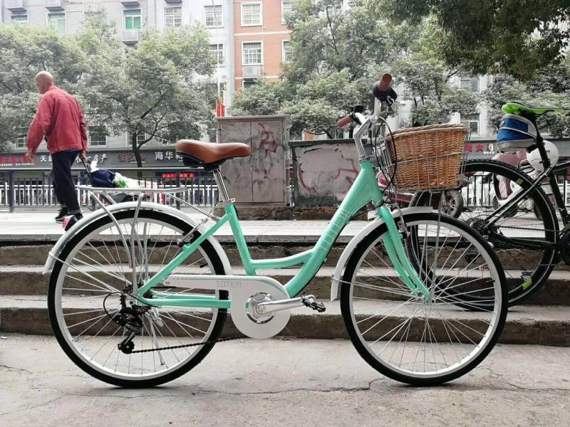 Xe Đạp Xe Điện Hồng Lý