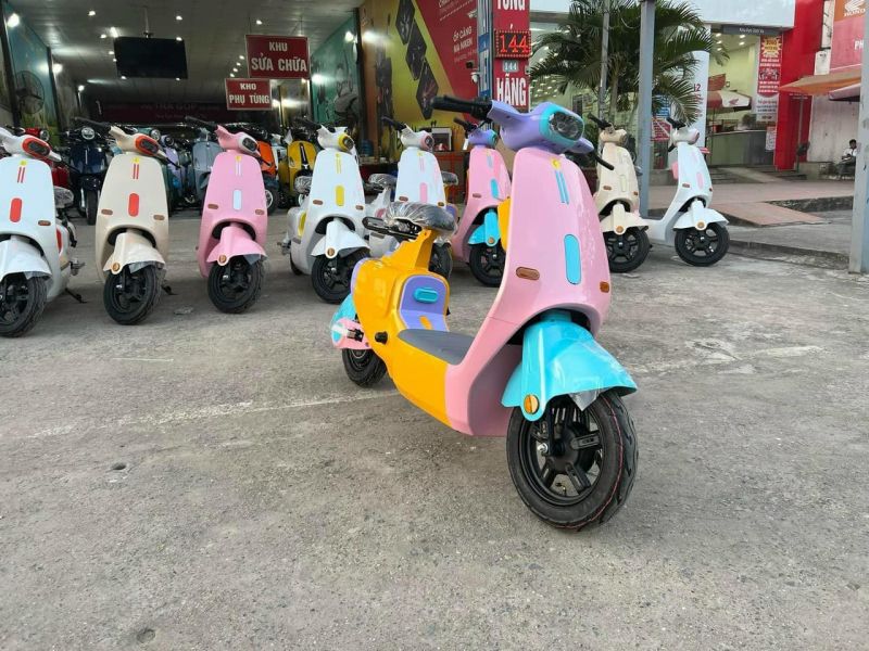 Xe điện Bảo Nam