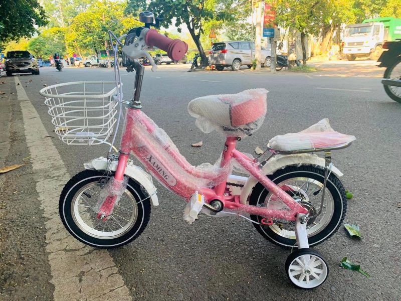 Xe điện Đức Anh Hạ Long
