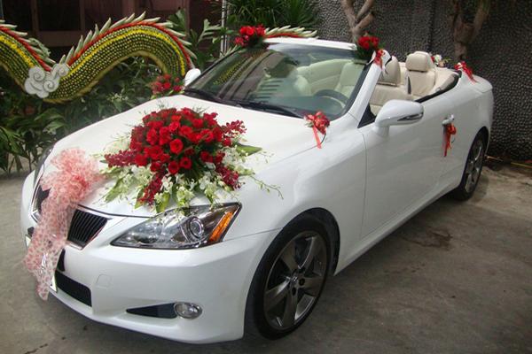 Xe Du Lịch Quảng Bình