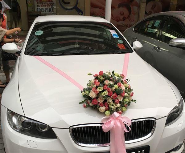 Xe Du Lịch Quảng Bình