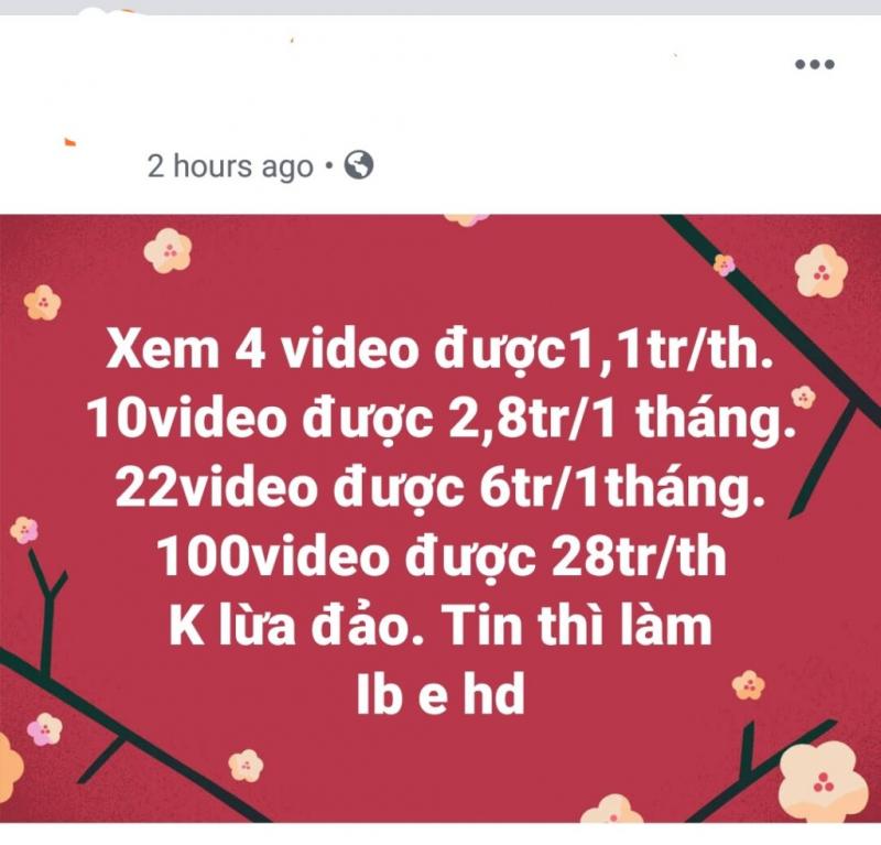 Hình ảnh minh họa (Nguồn Internet)