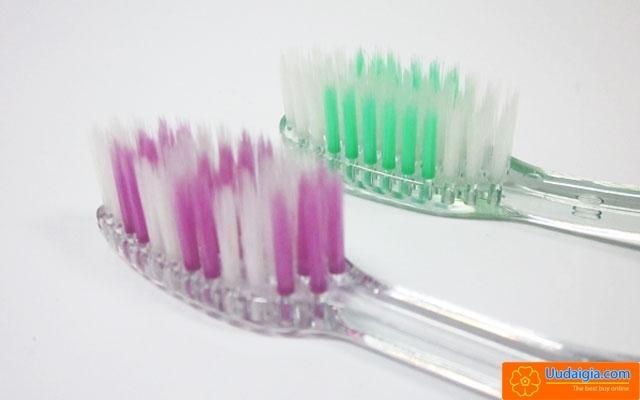 Xem xét hình dạng sợi lông bàn chải