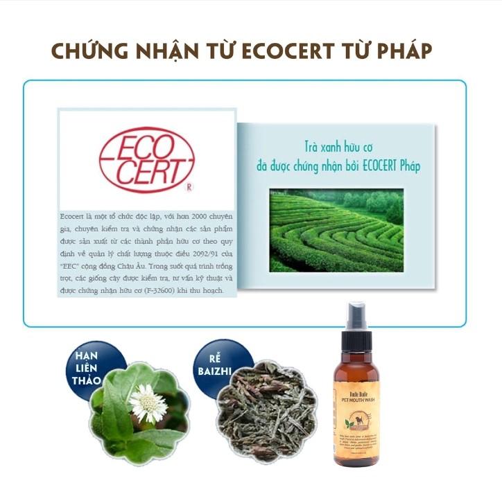Xịt vệ sinh răng cho chó Budle'Budle giúp chú chó của bạn làm sạch răng miệng một cách nhanh chóng mà không cần rửa nước hay dùng đến bàn chải