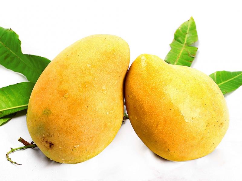 Khát vọng về sự tiêu xài thỏa thích trong năm mới