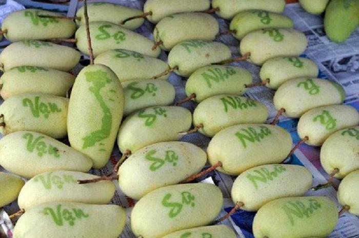 Xoài khắc chữ