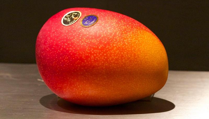 Xoài Taiyo No Tamago
