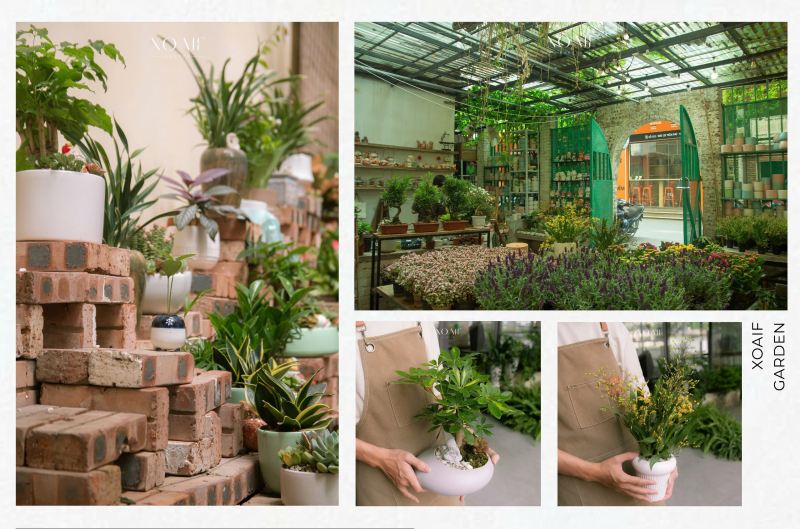 Xoaif garden