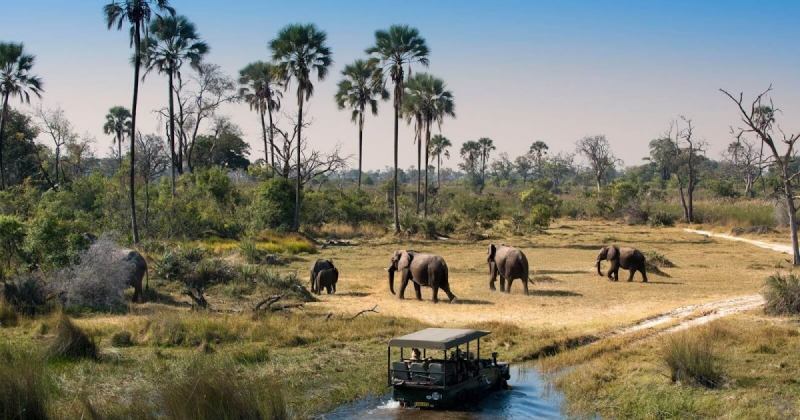 Ngôn ngữ !Xóõ: Botswana