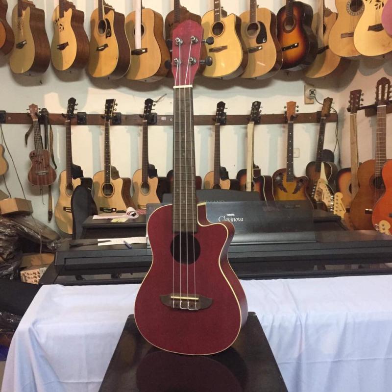 Xstrings Guitar Hải Phòng