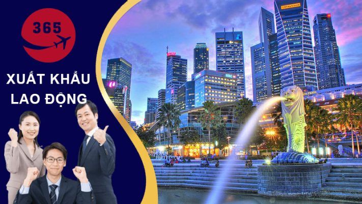 Xuất khẩu lao động 365