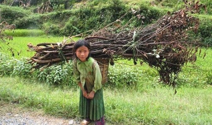 Trẻ em đến tuổi không được đi học mà phải làm những công việc phụ giúp gia đình