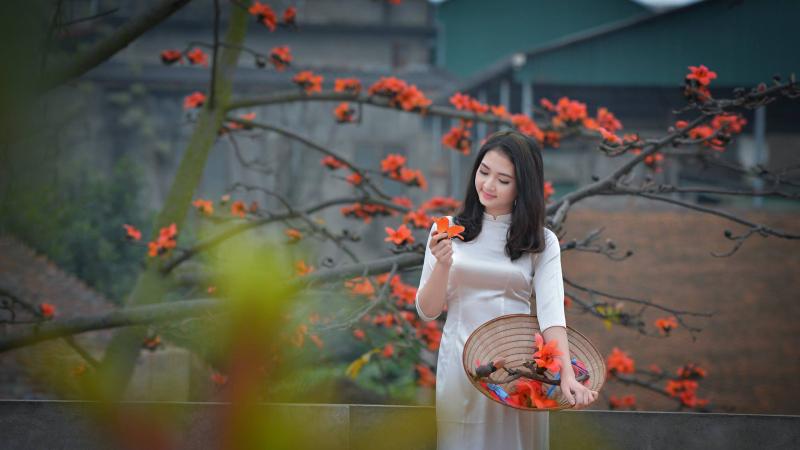 Ảnh minh họa (nguồn internet)